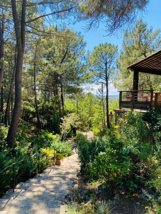 Lou Paradou Lodge Grillon Ngoại thất bức ảnh